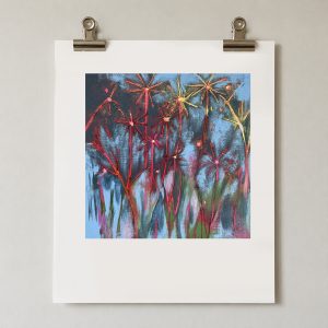 Pitmedden Daisies